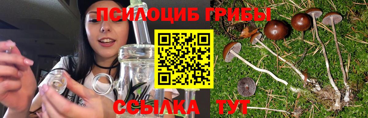 Псилоцибиновые грибы прущие грибы  Вход с VPN  Чусовой 