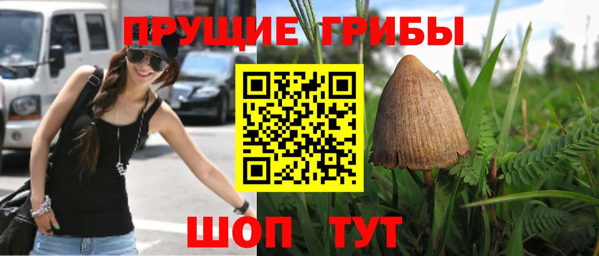 Псилоцибиновые грибы мицелий Чусовой